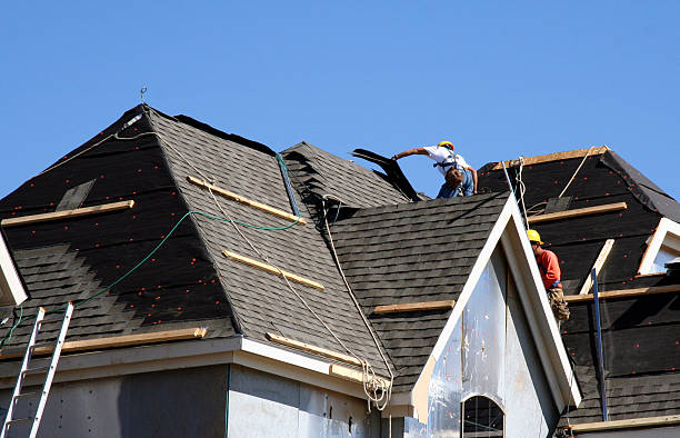 Best Metal Roofing Contractor  in Mount Vernon, TX