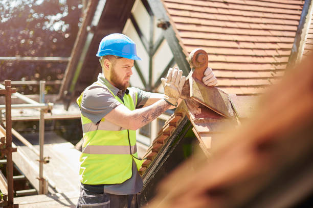 Best Emergency Roof Repair  in Mount Vernon, TX